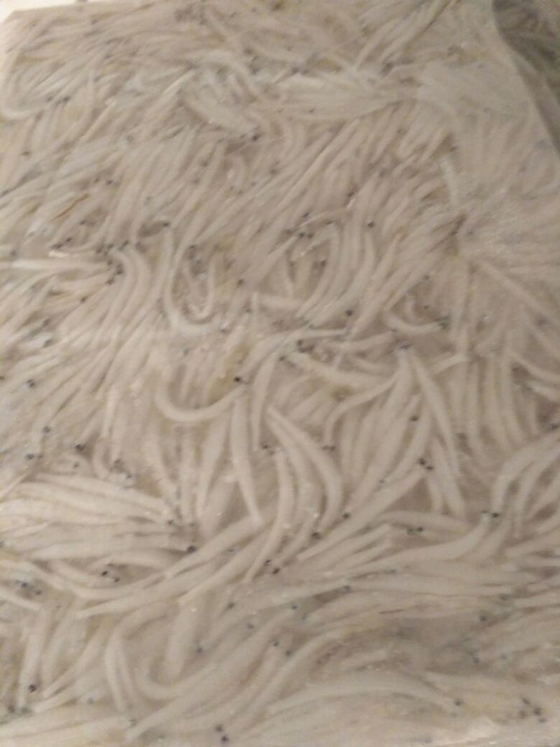 大银鱼冻鱼小银鱼