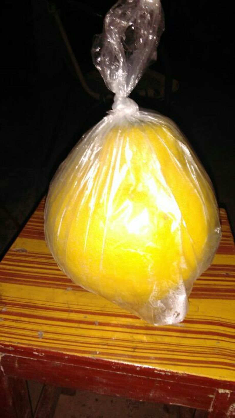沙田柚1.8斤以上
