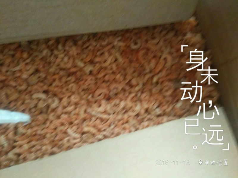 鱿鱼干包装