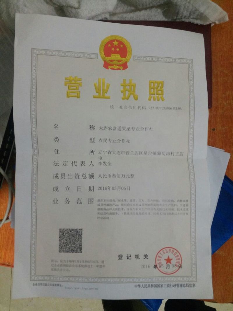 大连大棚油桃春节后就上市了