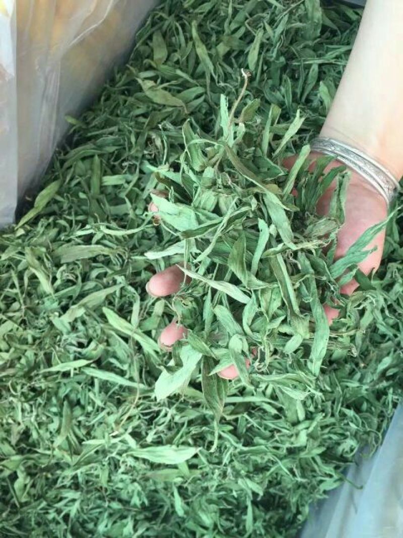 甜叶菊精选