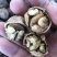 薄皮核桃去皮干
