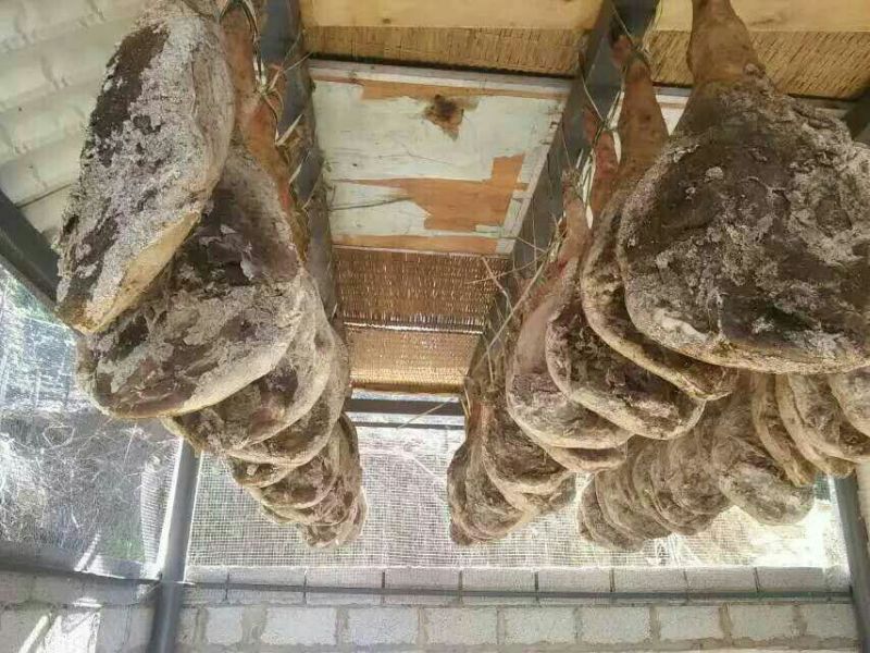火腿