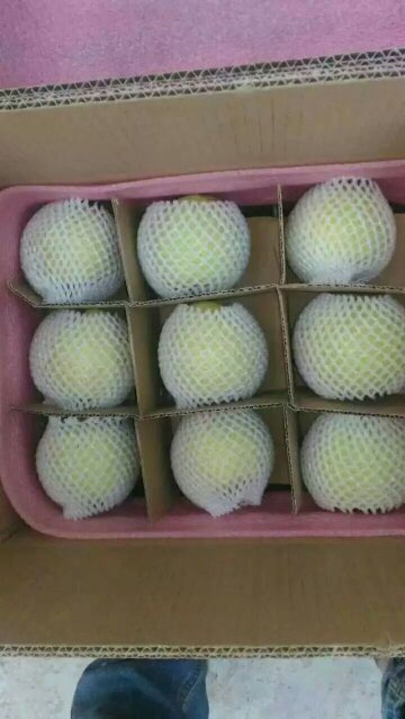 砀山梨250~300g纸箱