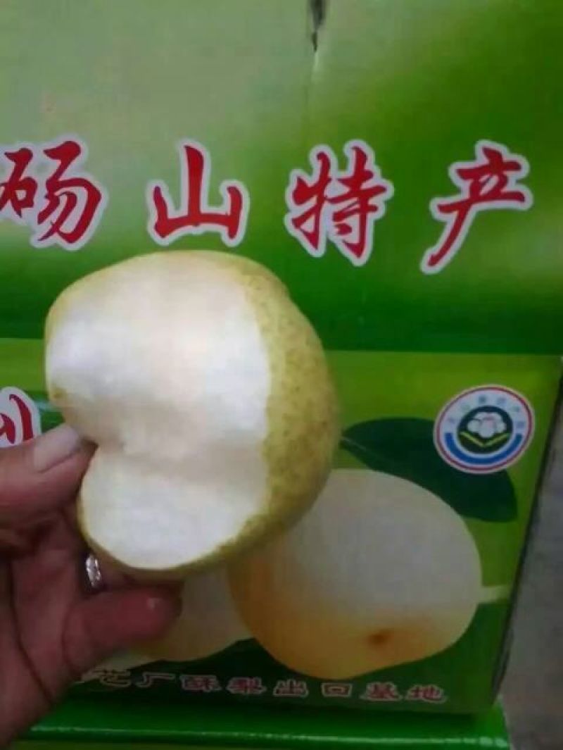 砀山梨250~300g纸箱
