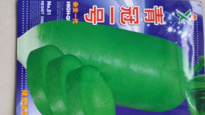 里外青萝卜2~2.5斤起