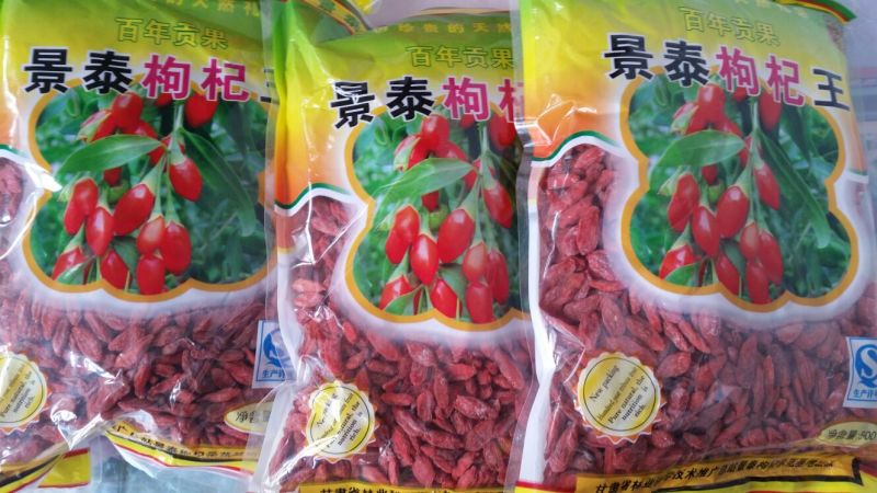 红枸杞头茬