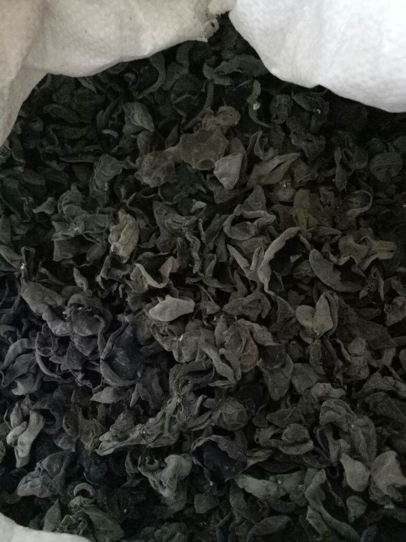 干木耳一级