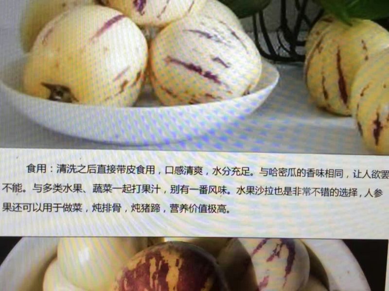 人参果4~5两以上