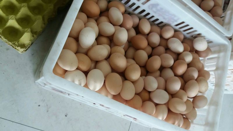 土鸡蛋食用50g以下
