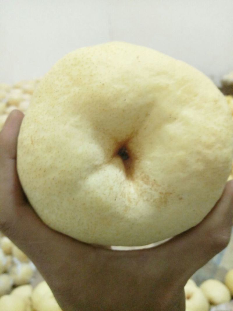 礼泉酥梨纸袋