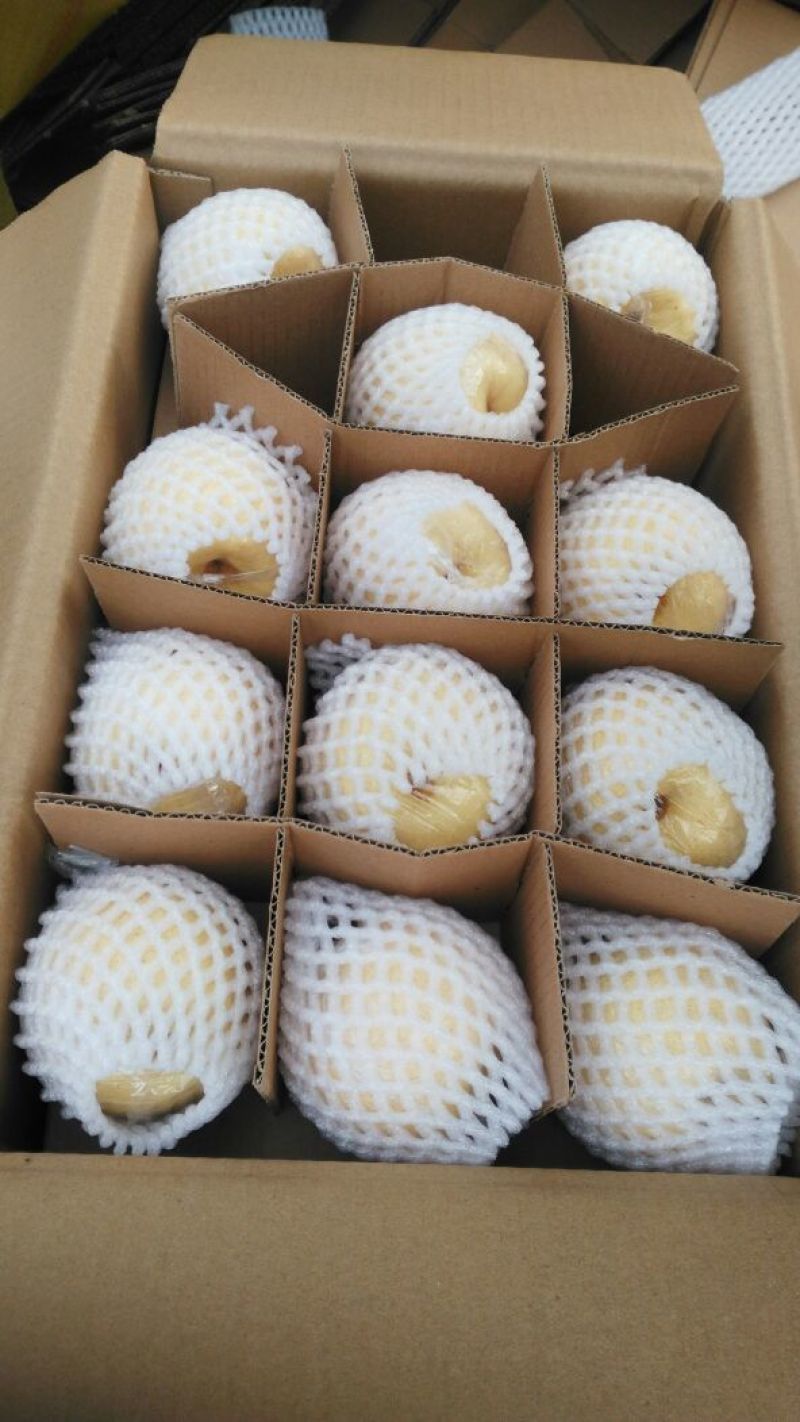 酥梨200~250g筐装