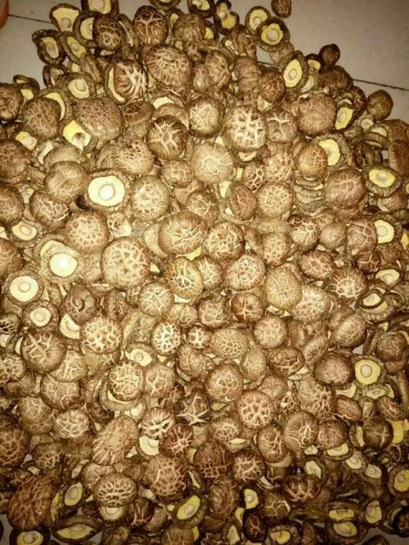 干香菇