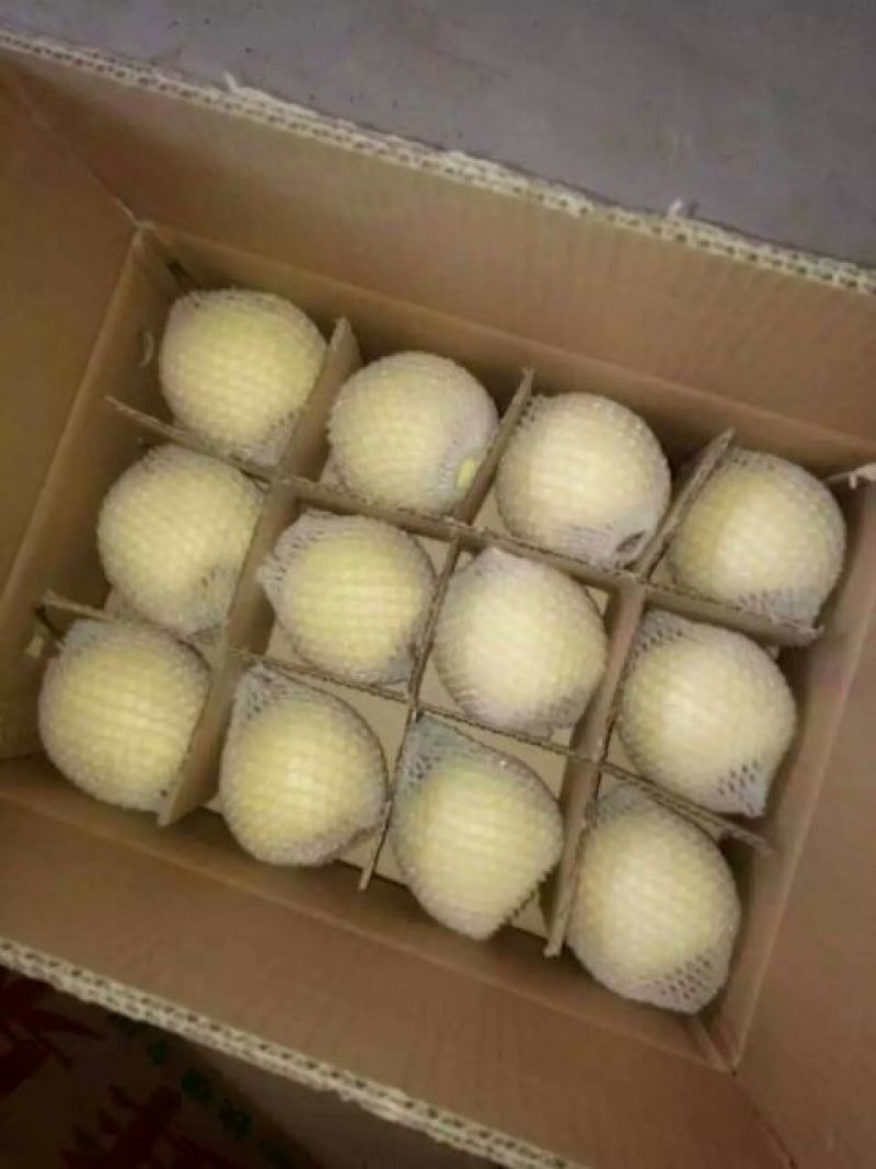 酥梨150~200g纸箱