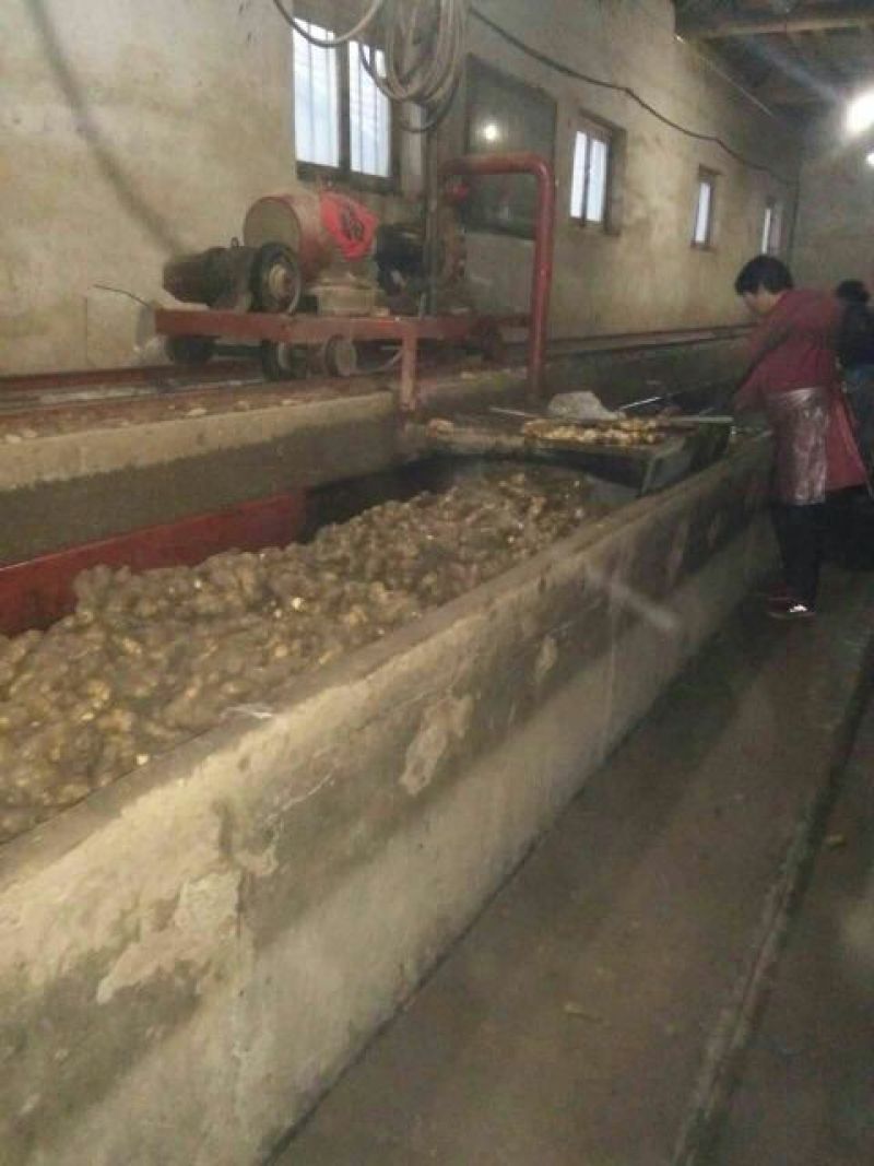 生姜5两以上水洗