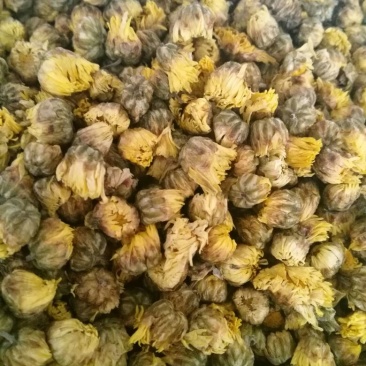 菊花茶