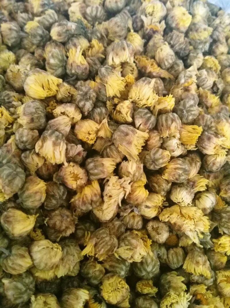 菊花茶