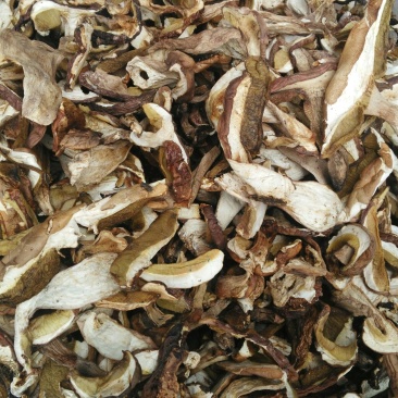 干牛肝菌