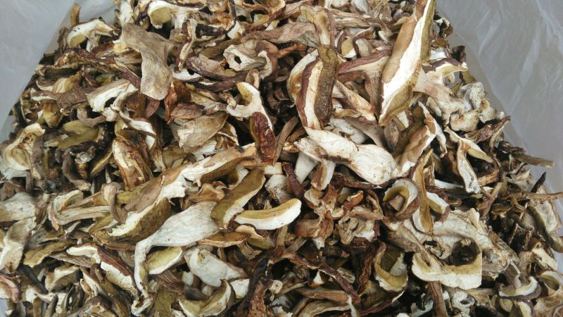 干牛肝菌
