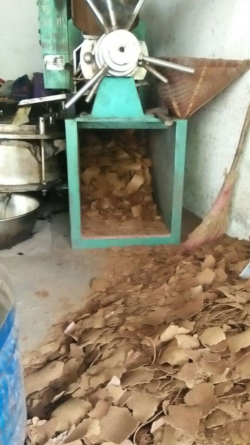 饲料