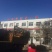 皇冠梨树苗0.8cm一棵也是批发价格，清地处理中，