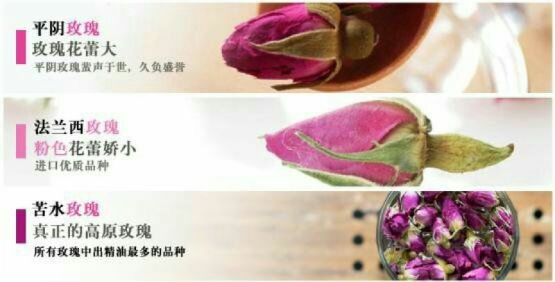苦水玫瑰