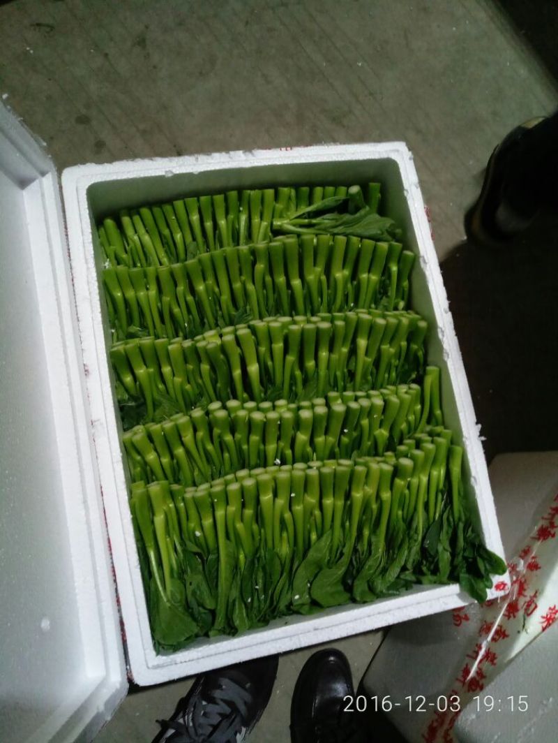 蔬菜