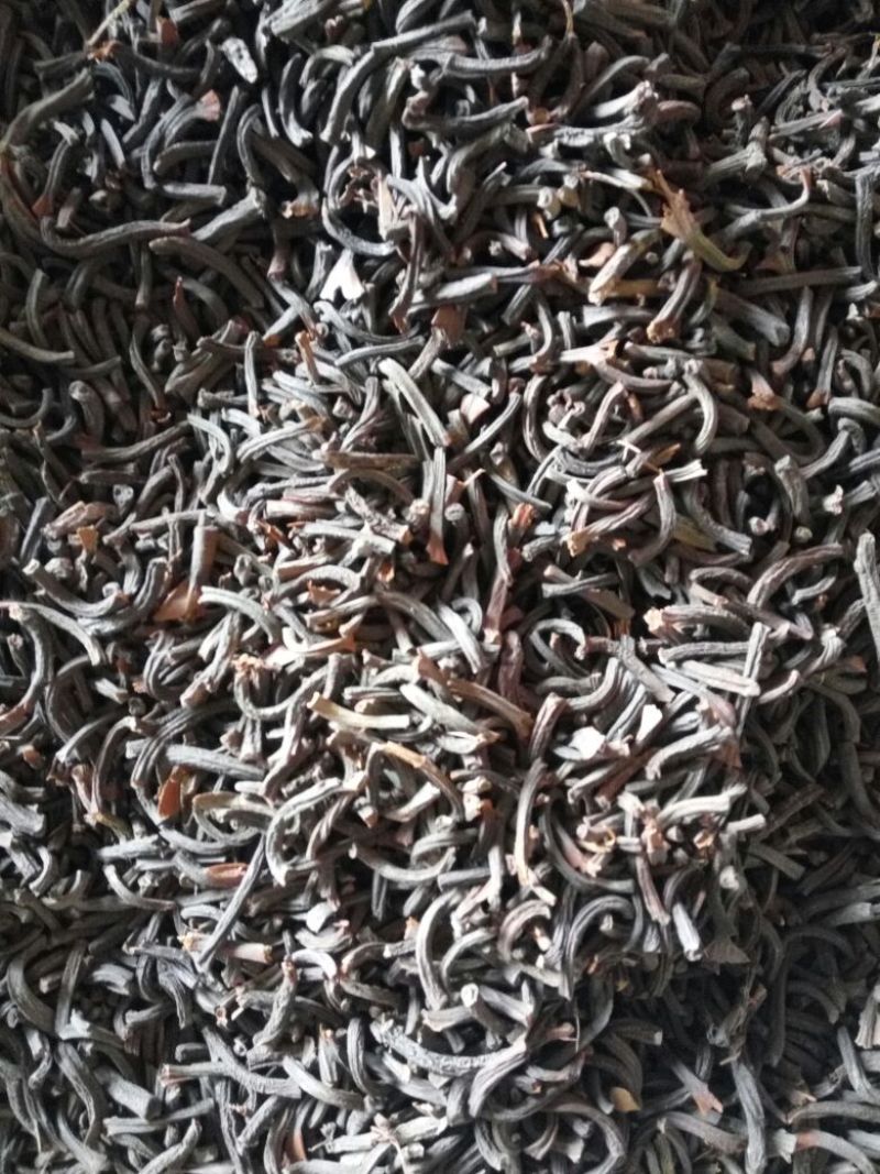 桂丁