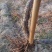 葡萄树1.1~1.5m各种规格齐全淘汰葡萄树苗大量