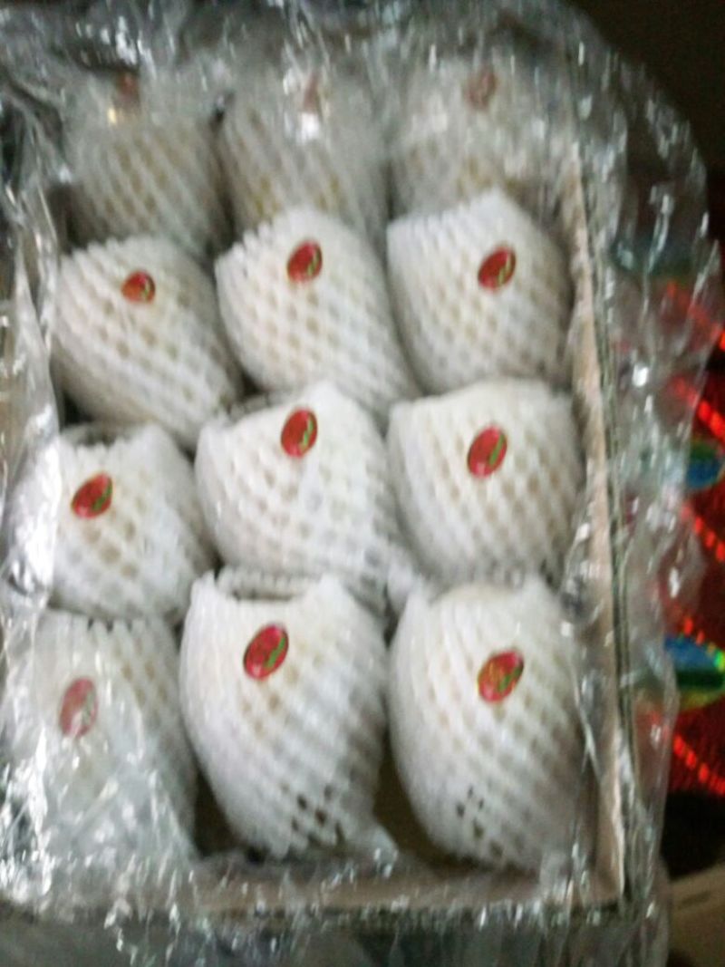 【优质】陕西蒲城酥梨，基地直发，纸袋150~200g
