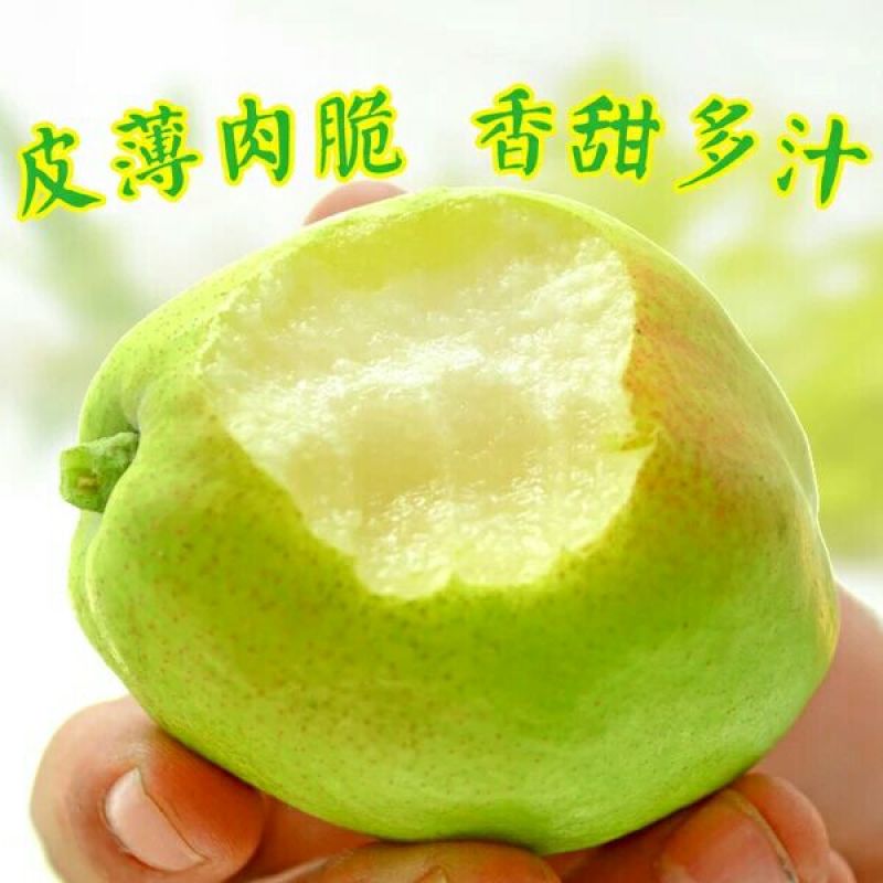 梨100~150g纸箱