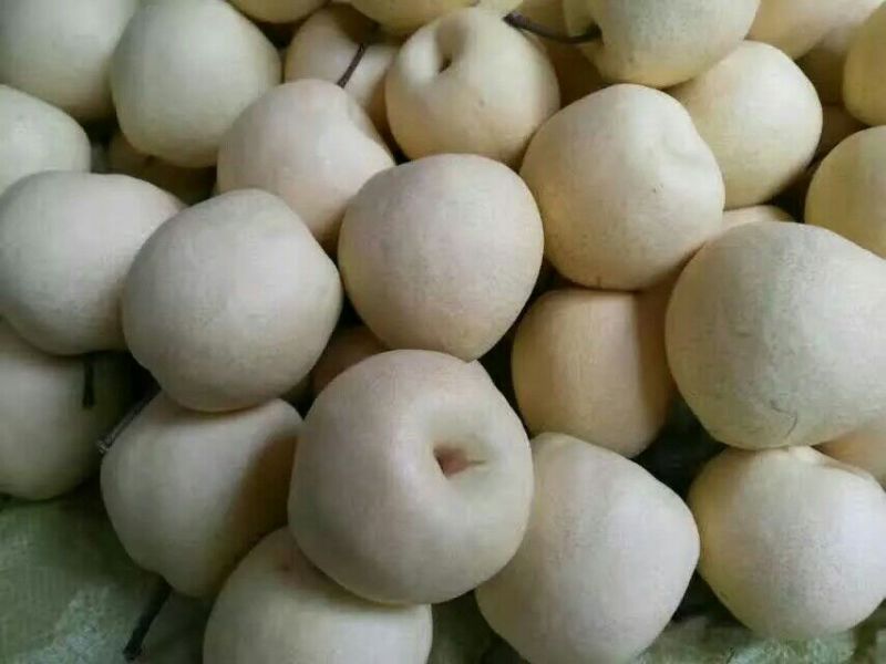 礼泉酥梨纸袋