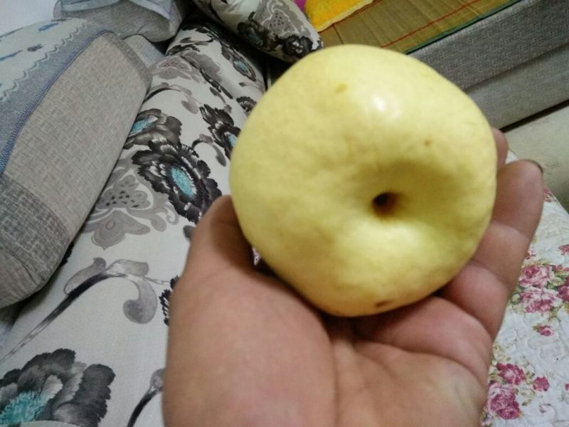 酥梨200~250g筐装