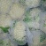白花菜花，紧密乳白，基地直发，欢迎选购