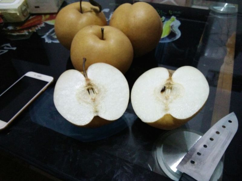 晚秋黄梨500~550g纸加膜