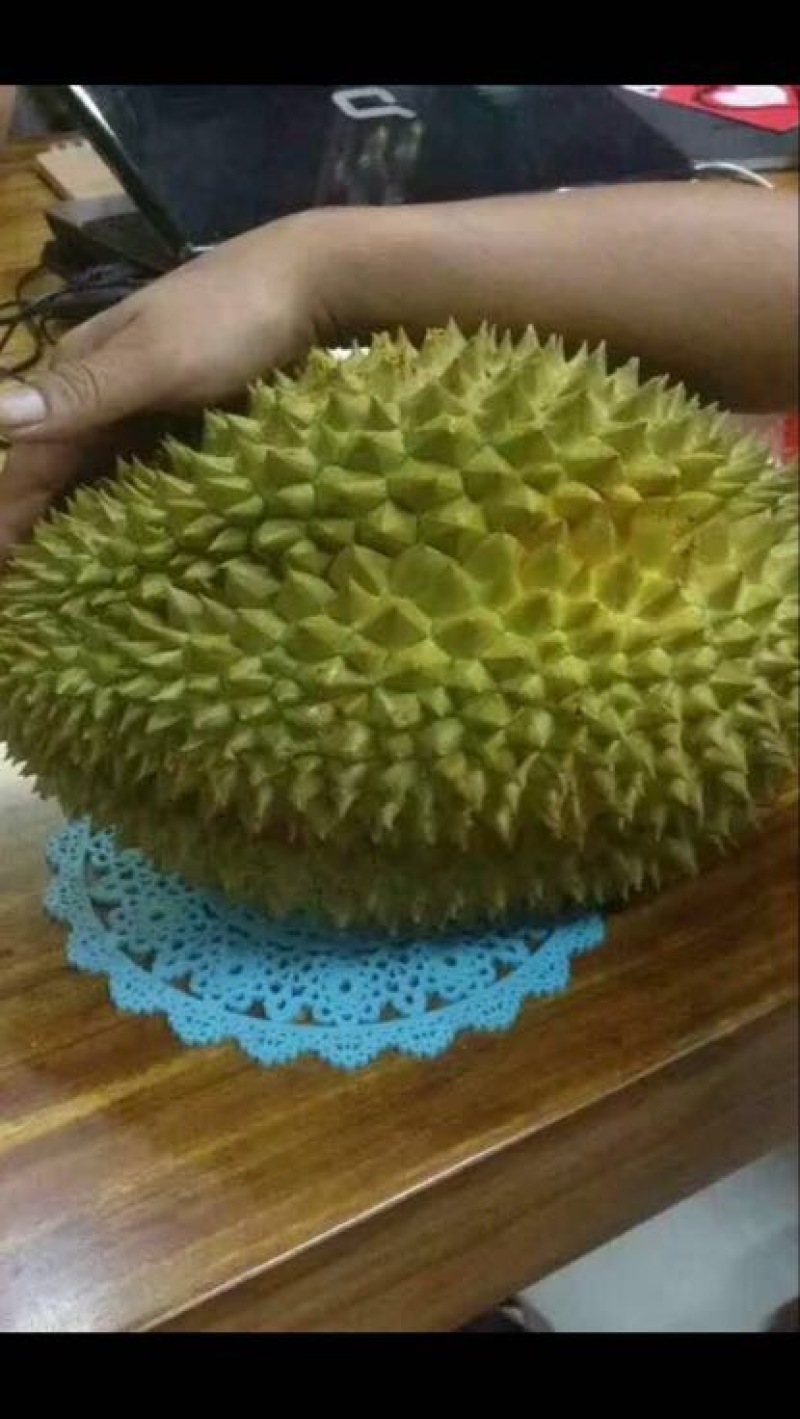 榴莲