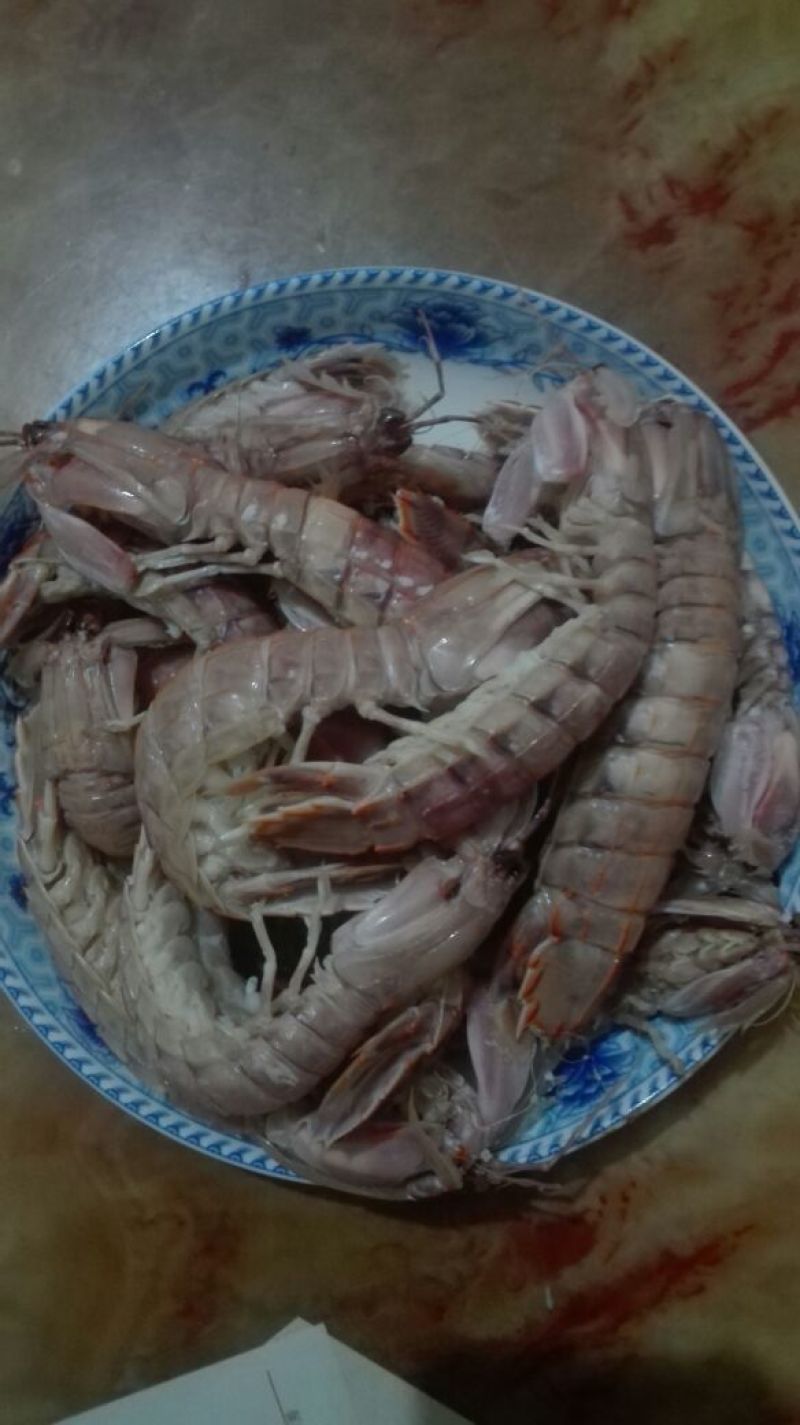 皮皮虾冻虾