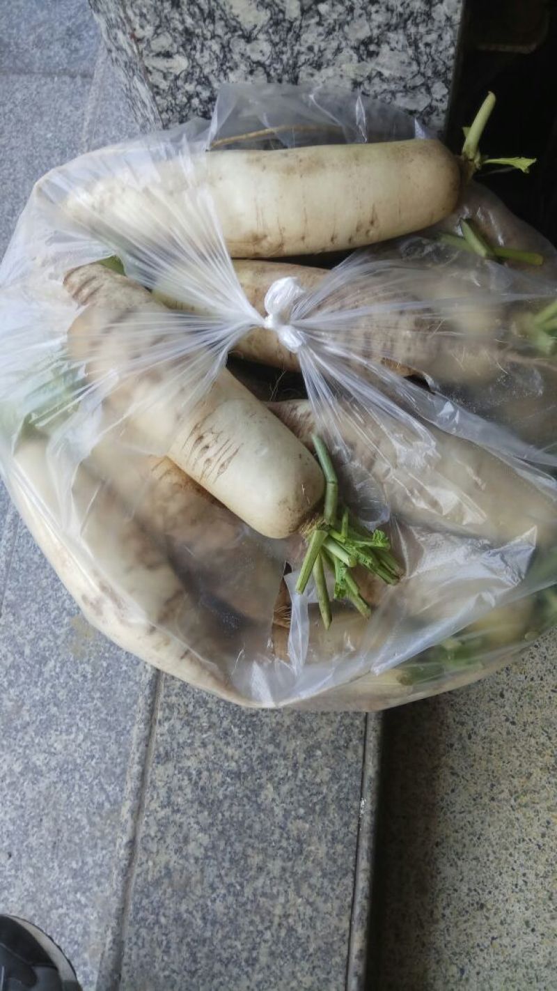 白萝卜1.5~2斤起