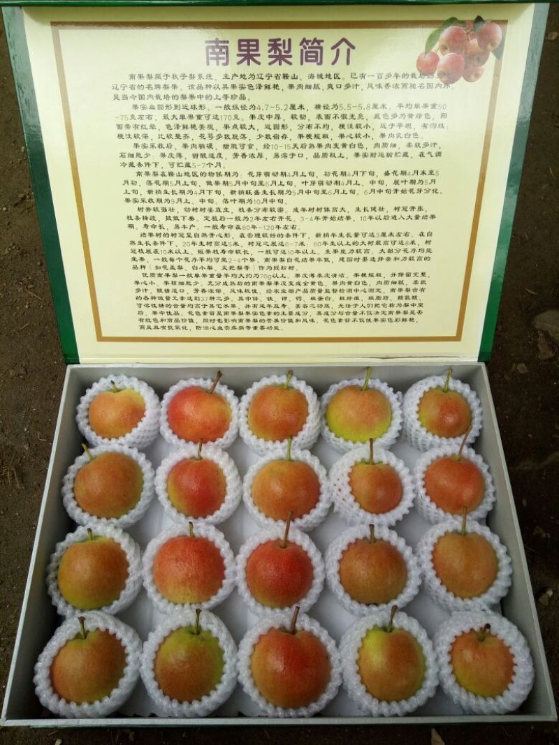 南果梨150~200g纸箱