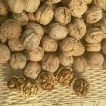 薄皮核桃30mm以上去皮干