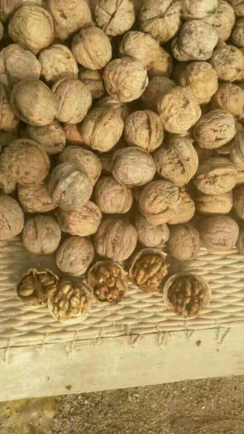 薄皮核桃30mm以上去皮干