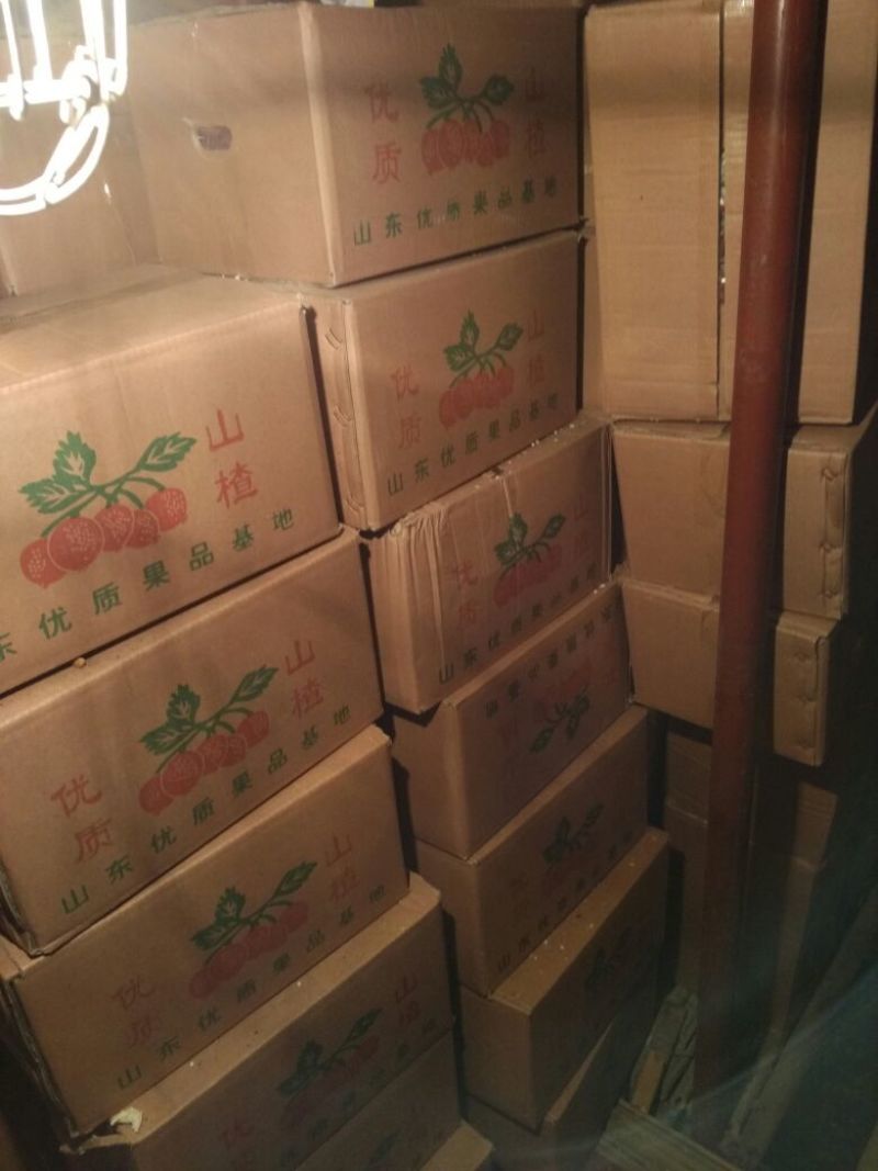 大金星山楂