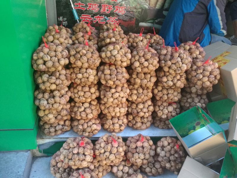 大泡核桃云南大理漾濞核桃