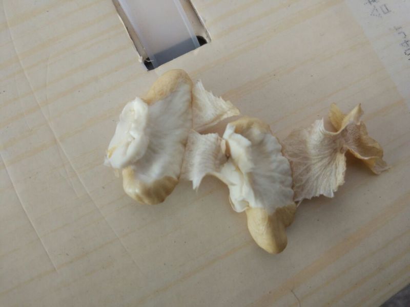 核桃去皮通货，大优一号，盐源早一号，大量上市