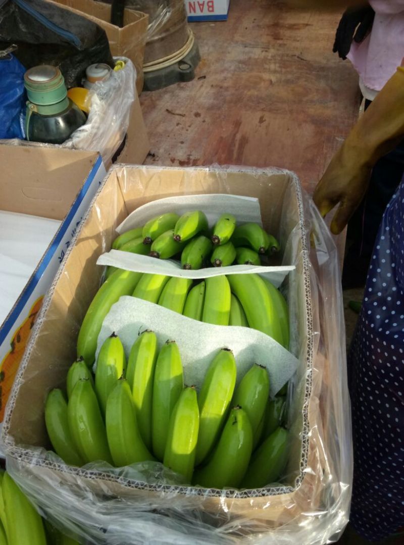 巴西香蕉七成熟