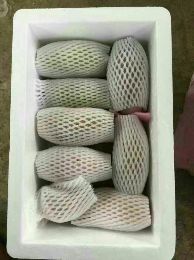 八月瓜130~140g