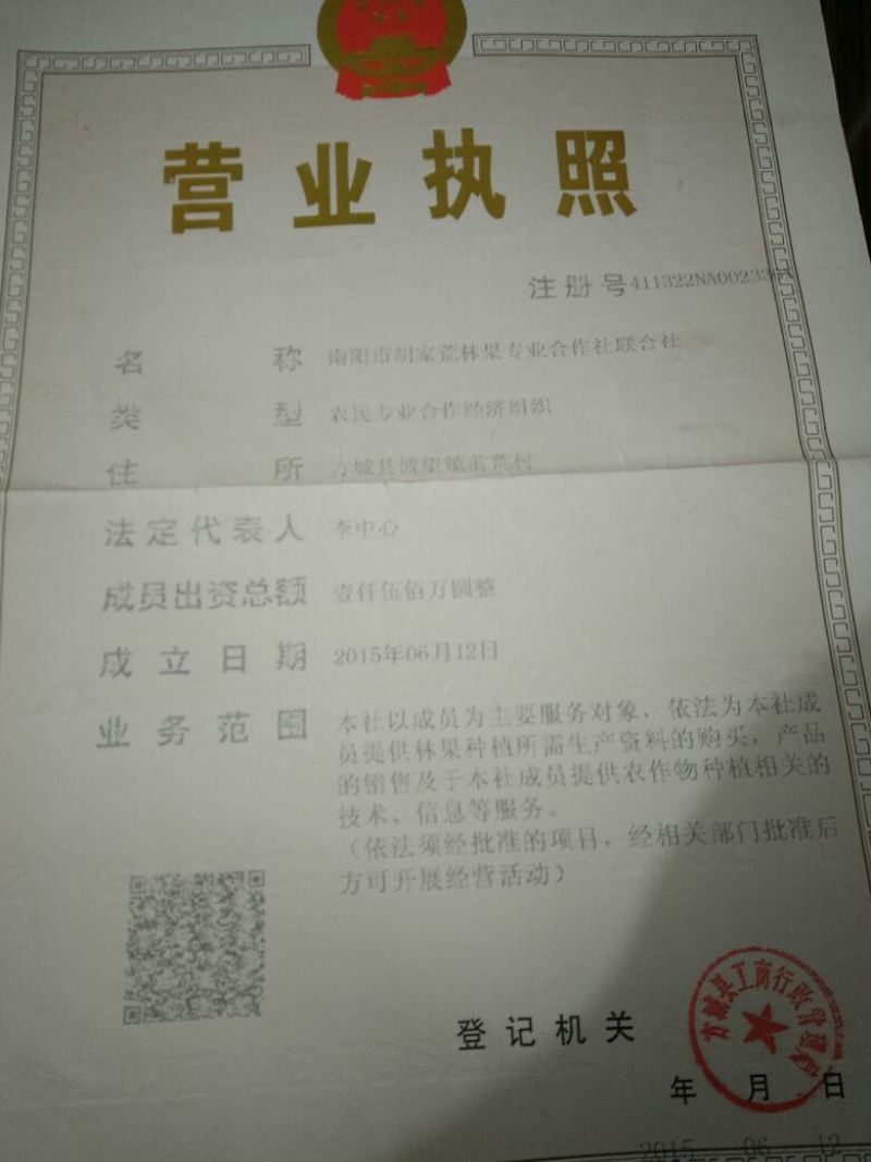 黄金梨200~250g纸袋
