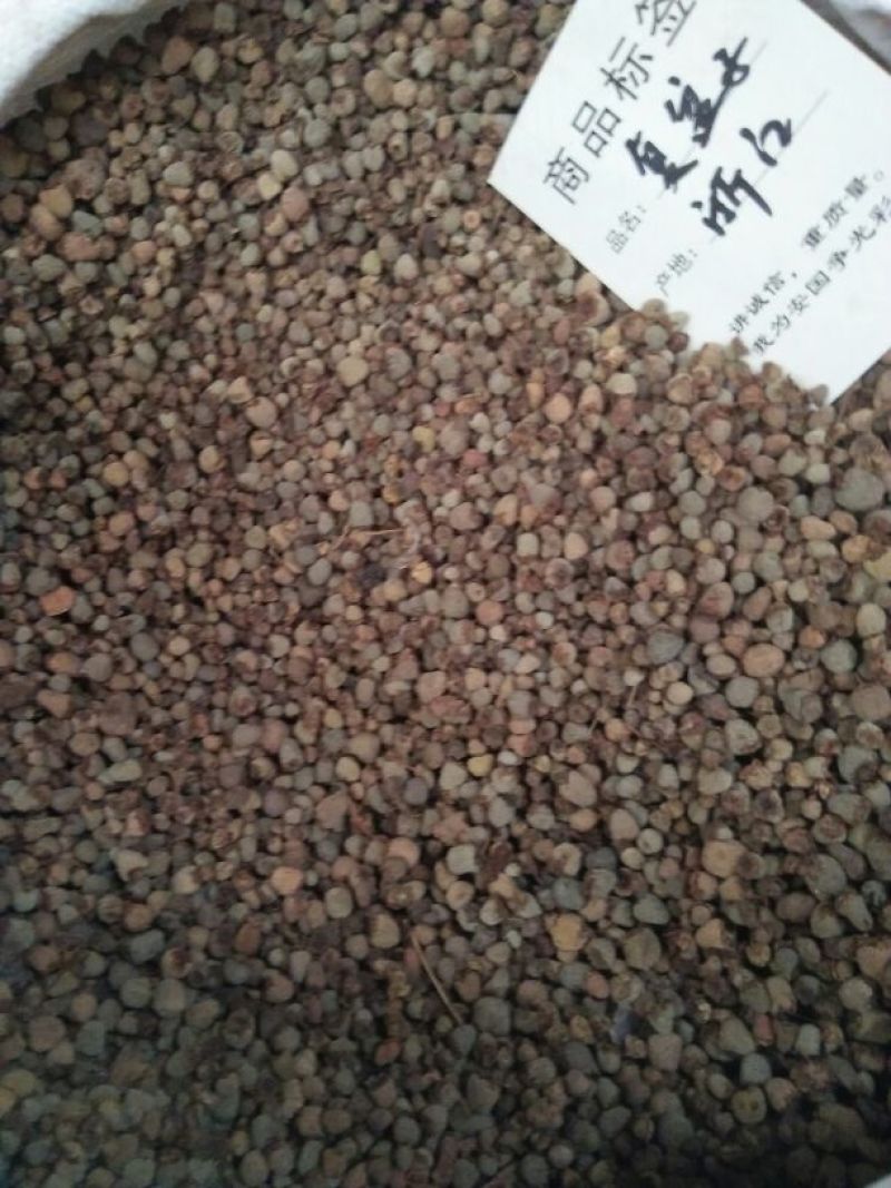 覆盆子