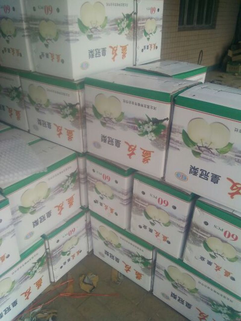 皇冠梨250~300g纸袋