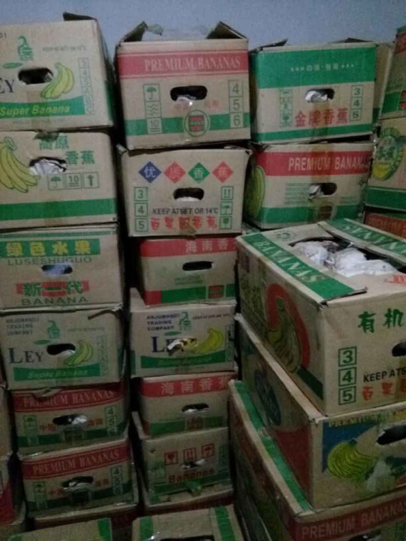黄金梨200~250g纸加膜